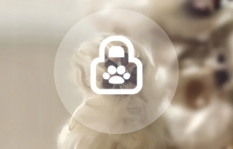 f17882934f66b0e9e11d8d170db3