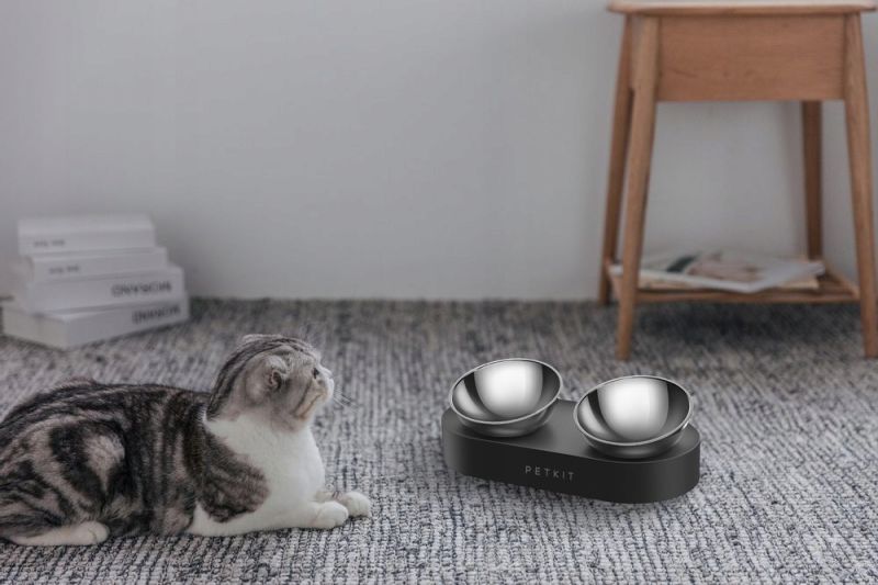 35f66dd344d6902dbc9c766bdeb3